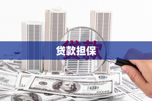 苍南贷款担保