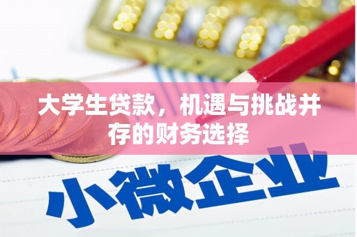 田家庵大学生贷款，机遇与挑战并存的财务选择