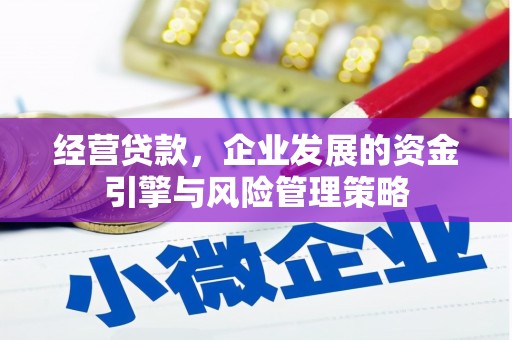 雨花经营贷款，企业发展的资金引擎与风险管理策略