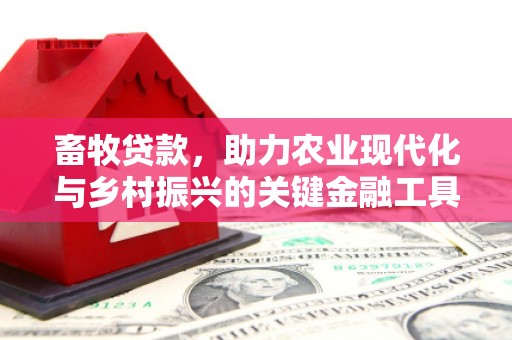 岳塘畜牧贷款，助力农业现代化与乡村振兴的关键金融工具