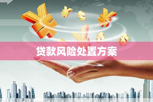 延庆贷款风险处置方案