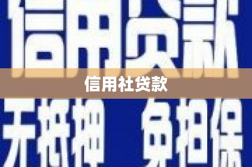 中正信用社贷款