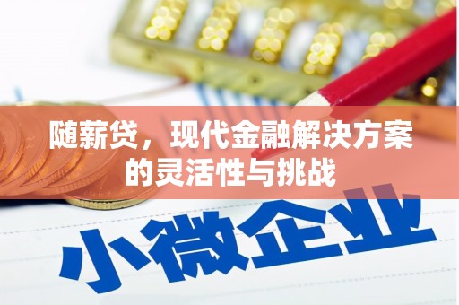 蓬江随薪贷，现代金融解决方案的灵活性与挑战