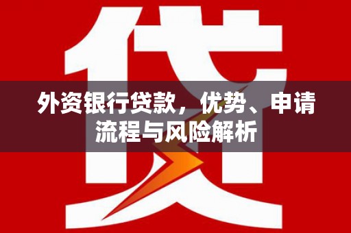 河南外资银行贷款，优势、申请流程与风险解析