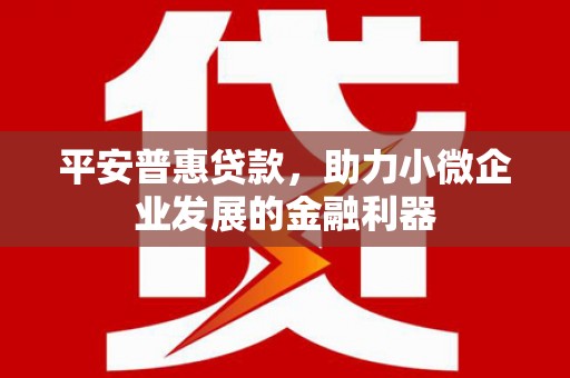 文安平安普惠贷款，助力小微企业发展的金融利器
