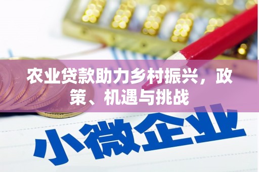 金湖农业贷款助力乡村振兴，政策、机遇与挑战