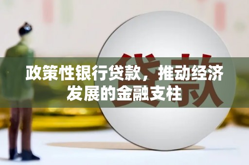 九台政策性银行贷款，推动经济发展的金融支柱