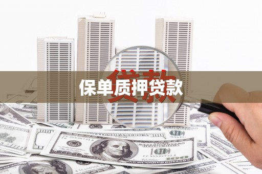 浮梁保单质押贷款