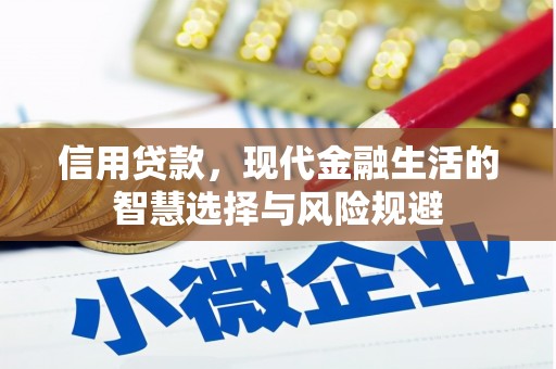 汉源信用贷款，现代金融生活的智慧选择与风险规避