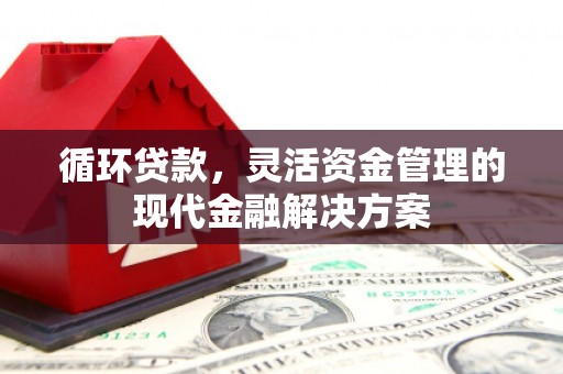 莱山循环贷款，灵活资金管理的现代金融解决方案