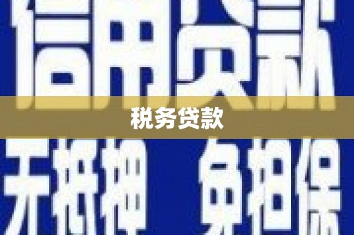 昭阳税务贷款