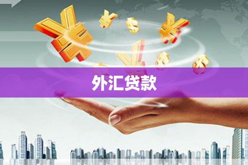 西华外汇贷款