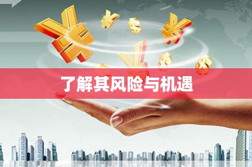 茂林了解其风险与机遇
