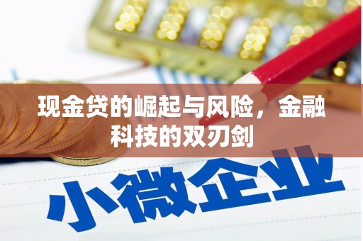 梧栖现金贷的崛起与风险，金融科技的双刃剑