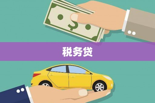 怀化税务贷