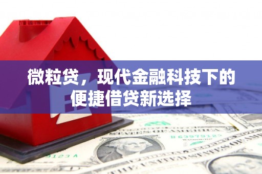 郁南微粒贷，现代金融科技下的便捷借贷新选择