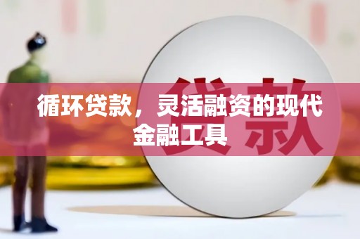 东兰循环贷款，灵活融资的现代金融工具