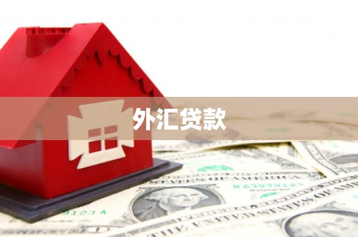宜君外汇贷款