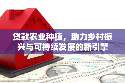 台西贷款农业种植，助力乡村振兴与可持续发展的新引擎