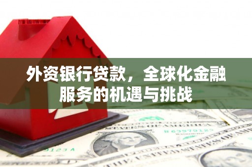 林西外资银行贷款，全球化金融服务的机遇与挑战