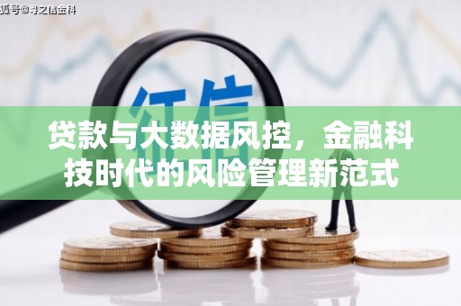 萨嘎贷款与大数据风控，金融科技时代的风险管理新范式