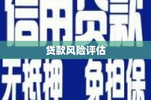 大英贷款风险评估