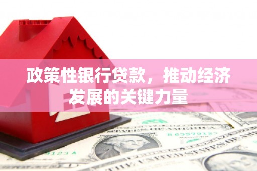 雨花政策性银行贷款，推动经济发展的关键力量