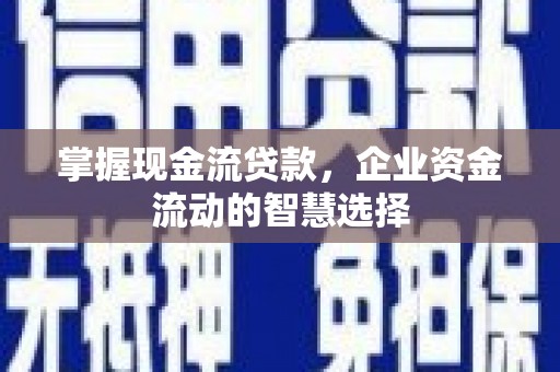 曹妃甸掌握现金流贷款，企业资金流动的智慧选择