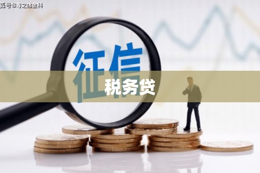 埔心税务贷