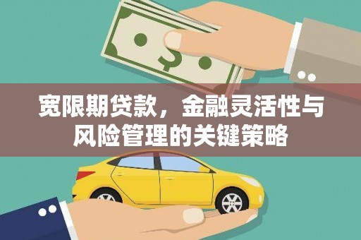 康马宽限期贷款，金融灵活性与风险管理的关键策略