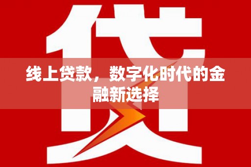 雨花线上贷款，数字化时代的金融新选择