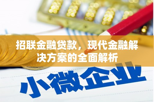 开福招联金融贷款，现代金融解决方案的全面解析