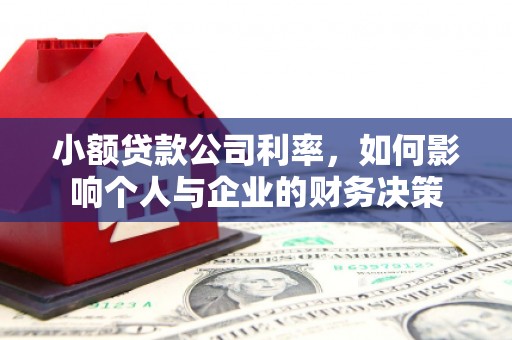 宜城小额贷款公司利率，如何影响个人与企业的财务决策
