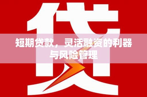 天宁短期贷款，灵活融资的利器与风险管理