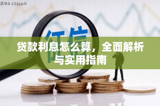 三元贷款利息怎么算，全面解析与实用指南