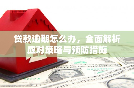 温州贷款逾期怎么办，全面解析应对策略与预防措施