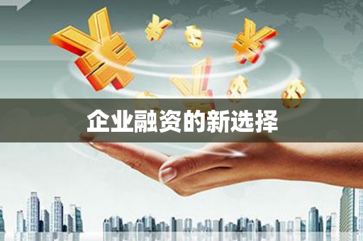 丹巴企业融资的新选择