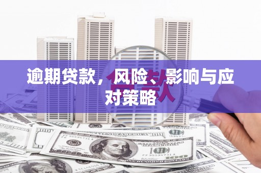 布尔津逾期贷款，风险、影响与应对策略