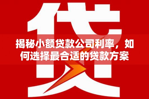 同德揭秘小额贷款公司利率，如何选择最合适的贷款方案