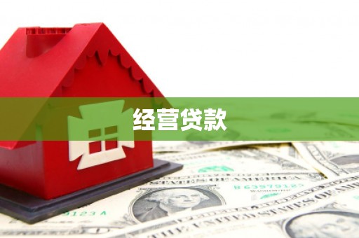 苍南经营贷款