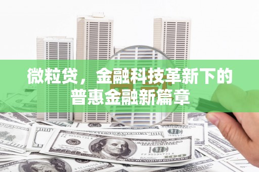 景德镇微粒贷，金融科技革新下的普惠金融新篇章