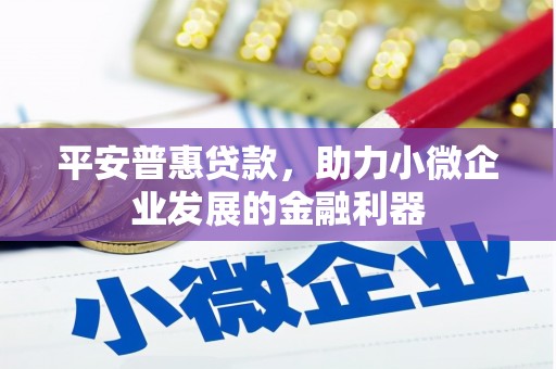 水富平安普惠贷款，助力小微企业发展的金融利器