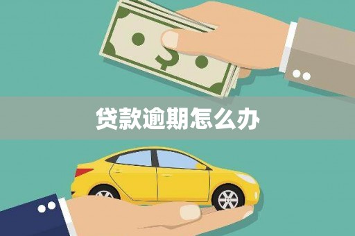 台东贷款逾期怎么办