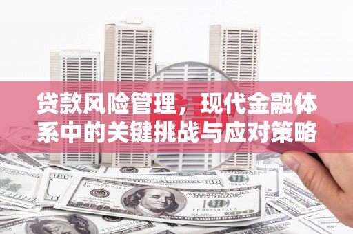 娄烦贷款风险管理，现代金融体系中的关键挑战与应对策略