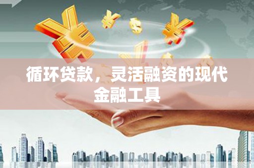 定西循环贷款，灵活融资的现代金融工具
