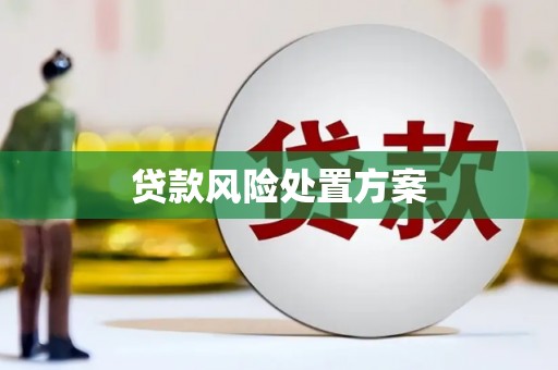 滑县贷款风险处置方案