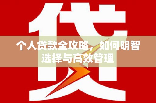 海东个人贷款全攻略，如何明智选择与高效管理