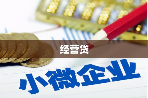 阳高经营贷