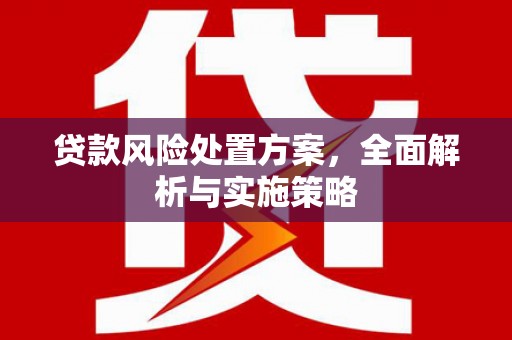 旬阳贷款风险处置方案，全面解析与实施策略