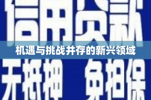 小港机遇与挑战并存的新兴领域